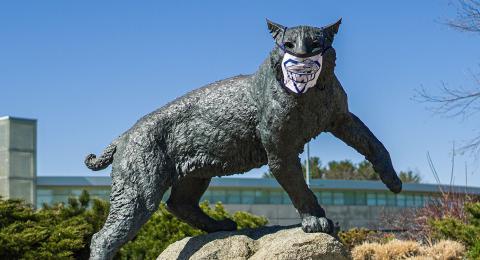 Wildcat with mask
